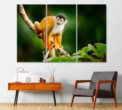 Little Monkey Sitting on a Tree Canvas Print-Canvas Print-CetArt-1 Panel-24x16 inches-CetArt