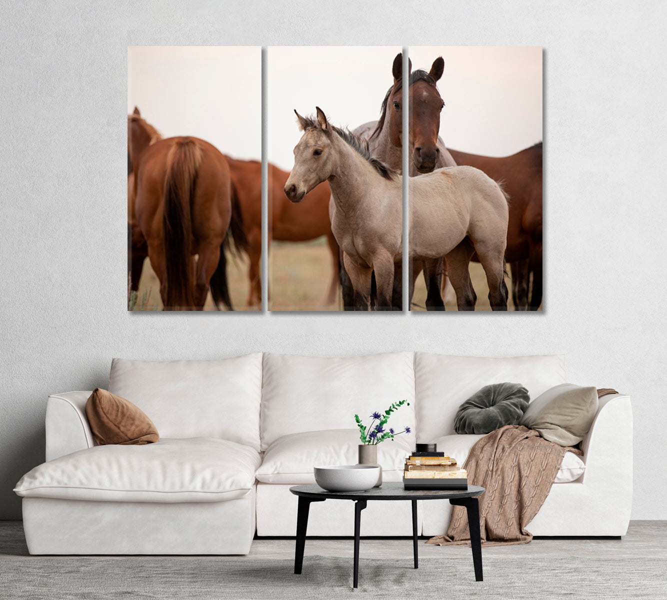 Mustangs in Montana Canvas Print-Canvas Print-CetArt-1 Panel-24x16 inches-CetArt