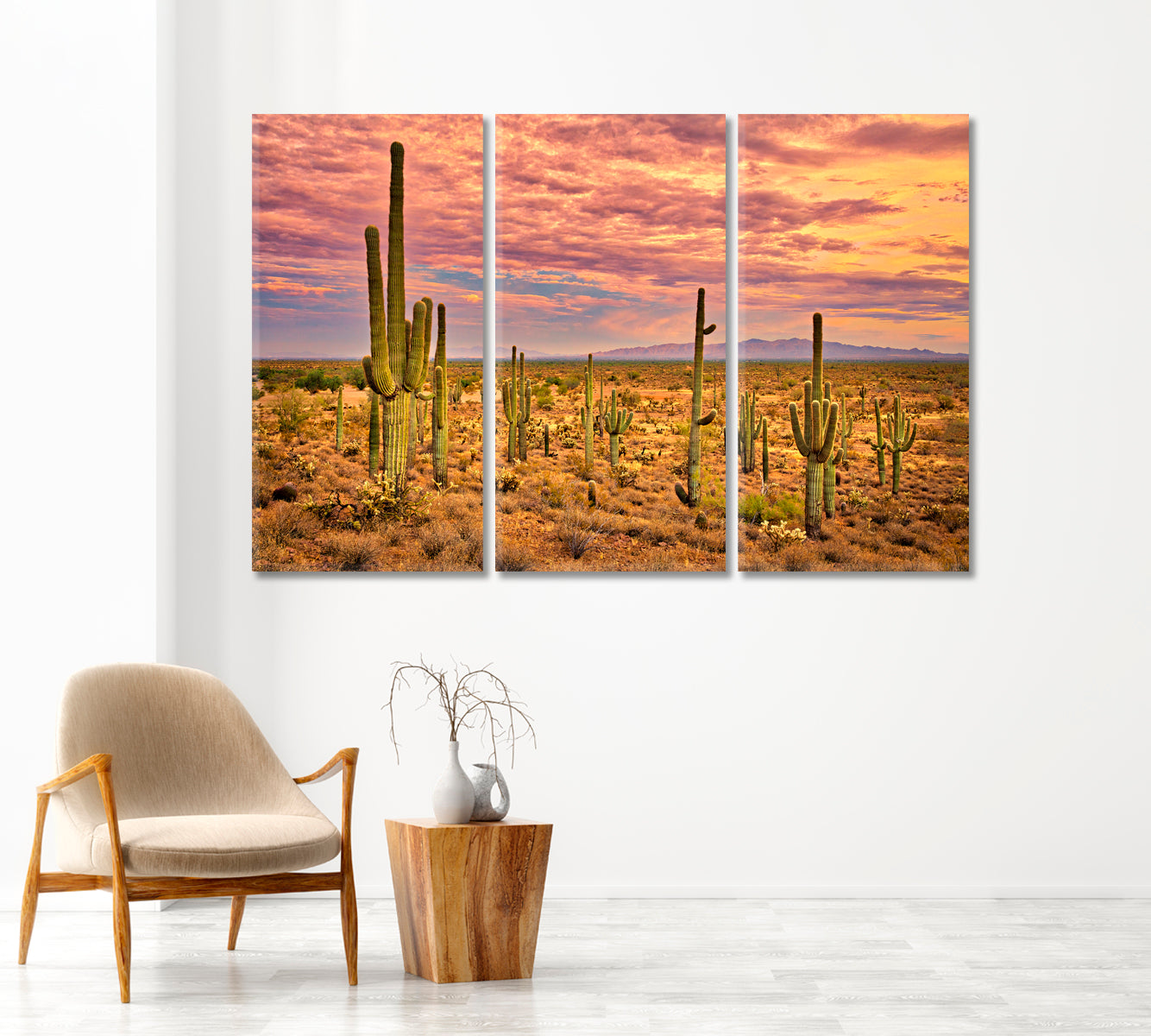 Sonoran Desert Mexico Canvas Print-Canvas Print-CetArt-1 Panel-24x16 inches-CetArt