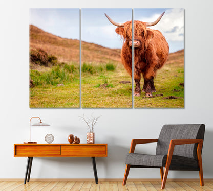 Scottish Highland Cow Canvas Print-Canvas Print-CetArt-1 Panel-24x16 inches-CetArt