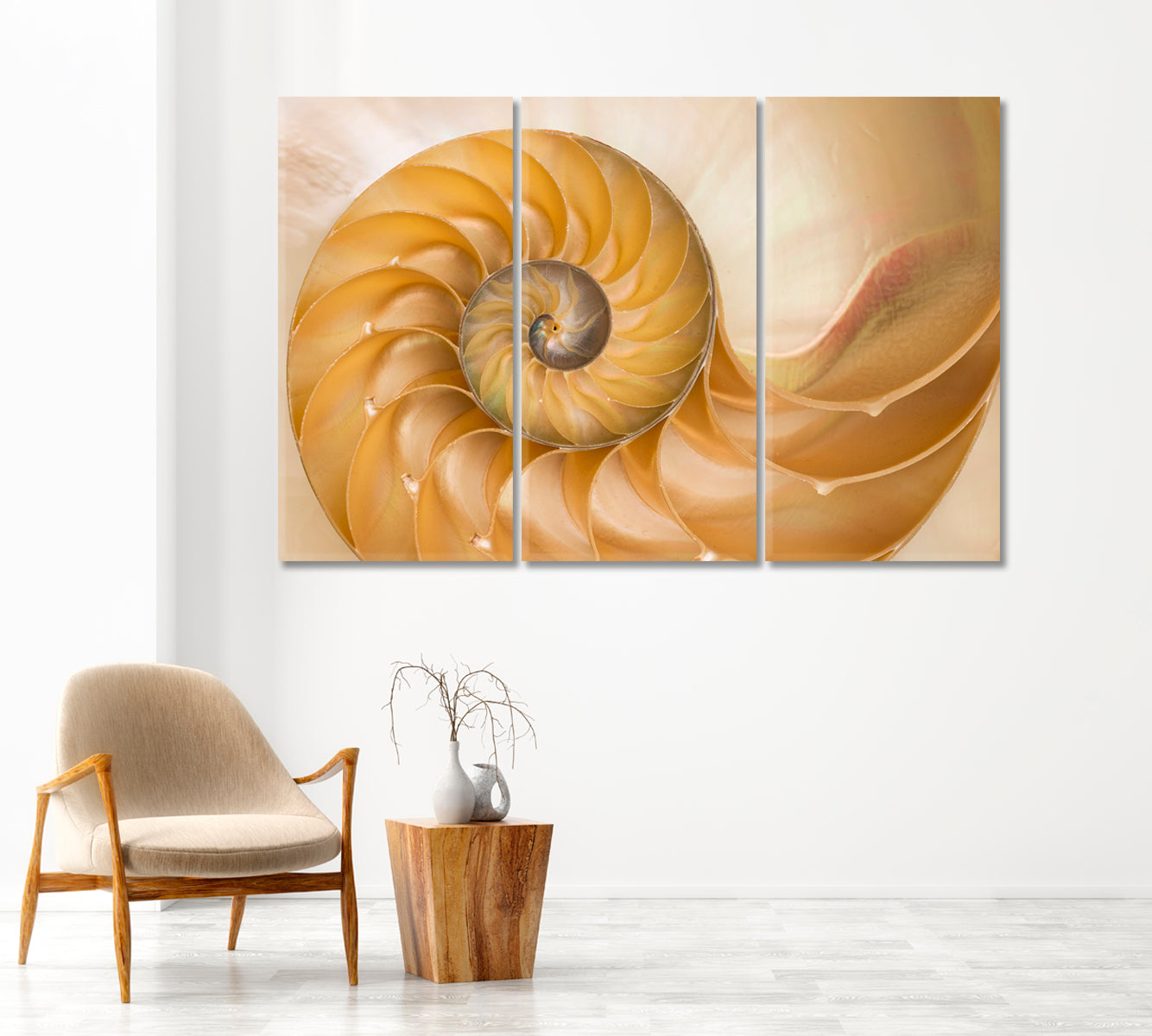 Nautilus Seashell Canvas Print-Canvas Print-CetArt-1 Panel-24x16 inches-CetArt