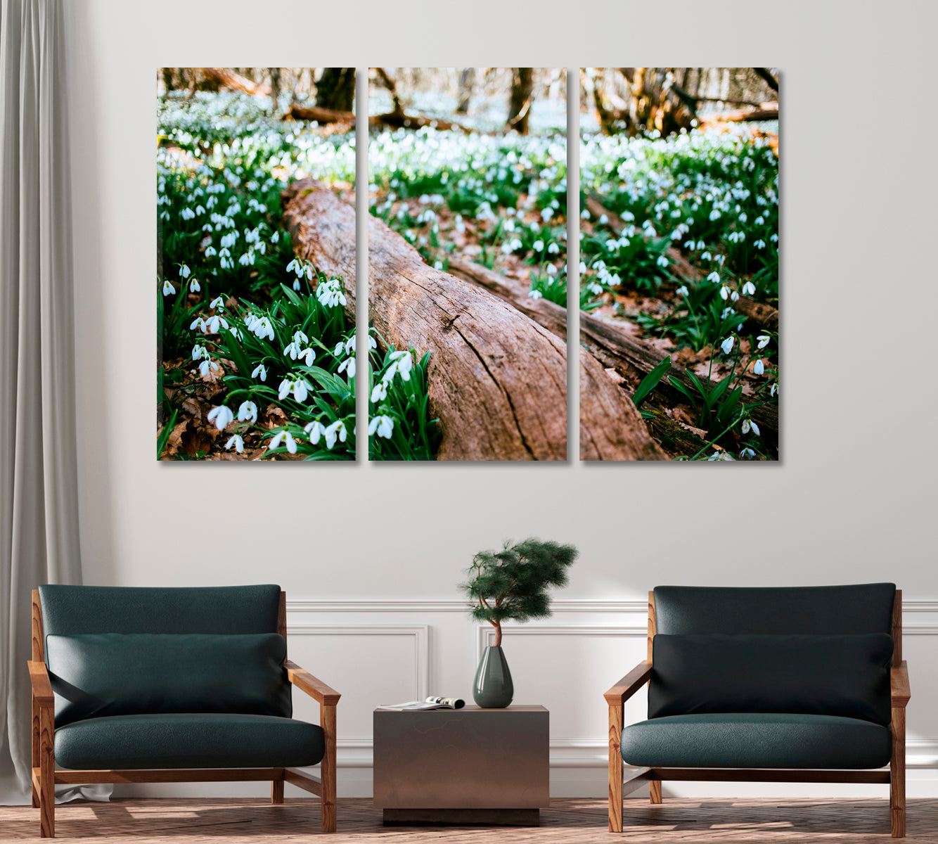 Snowdrops in Forest Canvas Print-Canvas Print-CetArt-1 Panel-24x16 inches-CetArt