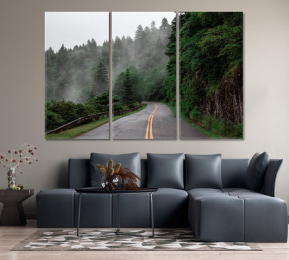 Blue Ridge Parkway on Misty Day Canvas Print-Canvas Print-CetArt-1 Panel-24x16 inches-CetArt