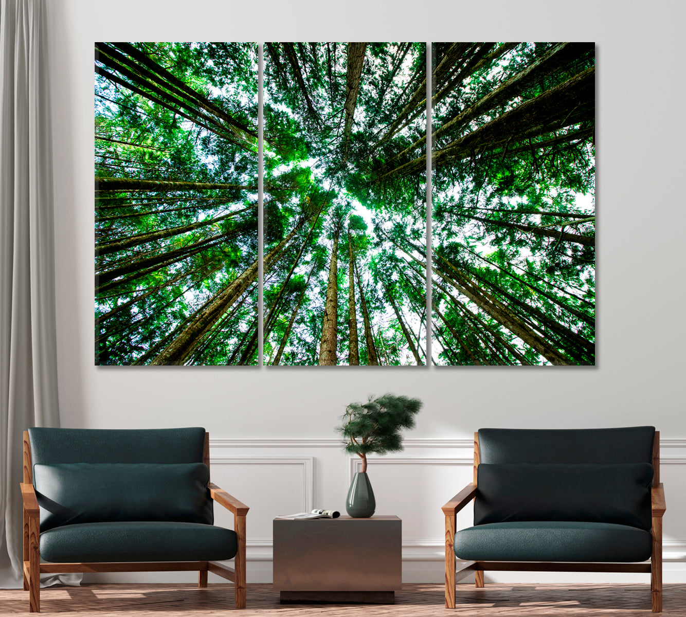 Bottom View of Giant Green Trees Canvas Print-CetArt-1 Panel-24x16 inches-CetArt