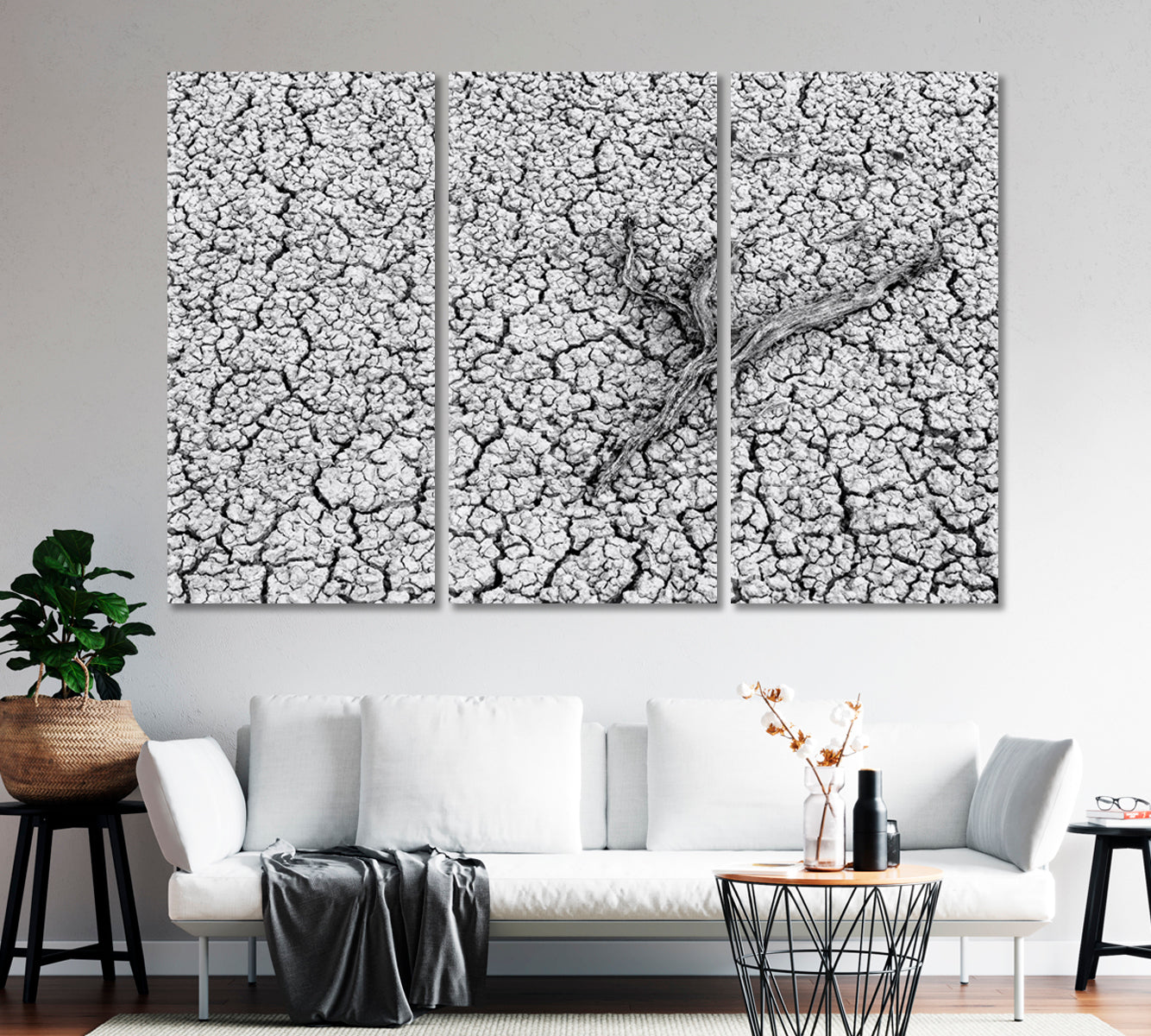 Dry Branch on Cracked Ground Canvas Print-Canvas Print-CetArt-1 Panel-24x16 inches-CetArt