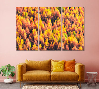 Beautiful Autumn Forest Swiss Alps Canvas Print-Canvas Print-CetArt-1 Panel-24x16 inches-CetArt