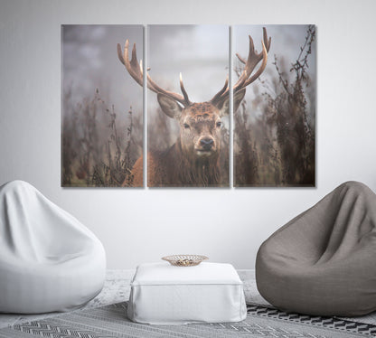 Deer in the Fog Wildlife Canvas Print-Canvas Print-CetArt-1 Panel-24x16 inches-CetArt