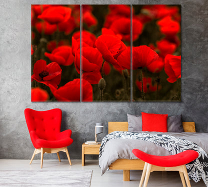 Field of Red Wild Poppies Canvas Print-Canvas Print-CetArt-1 Panel-24x16 inches-CetArt