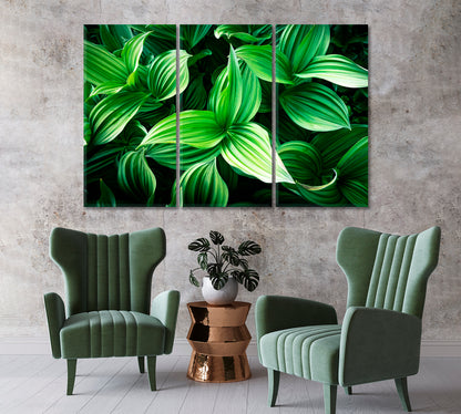 Leaves of Green Plants Canvas Print-Canvas Print-CetArt-1 Panel-24x16 inches-CetArt