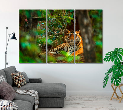 Male Indian Tiger Endangered Species Canvas Print-Canvas Print-CetArt-1 Panel-24x16 inches-CetArt