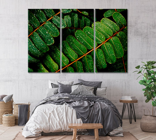 Green Leaves with Water Drops Canvas Print-Canvas Print-CetArt-1 Panel-24x16 inches-CetArt