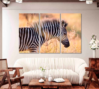 Hartmann's Mountain Zebra Canvas Print-Canvas Print-CetArt-1 Panel-24x16 inches-CetArt