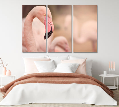 Flamingo Close Up Canvas Print-Canvas Print-CetArt-1 Panel-24x16 inches-CetArt