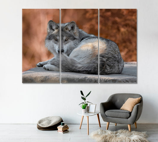 Mexican Gray Wolf Canvas Print-Canvas Print-CetArt-1 Panel-24x16 inches-CetArt