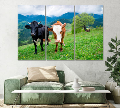 Cows in Meadow Canvas Print-Canvas Print-CetArt-1 Panel-24x16 inches-CetArt