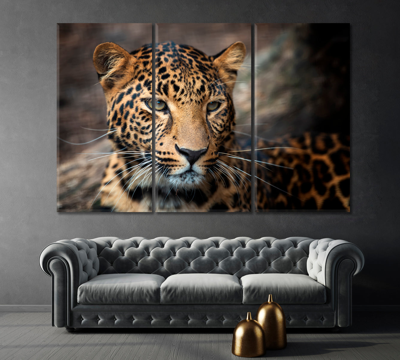 Young Leopard Canvas Print-Canvas Print-CetArt-1 Panel-24x16 inches-CetArt