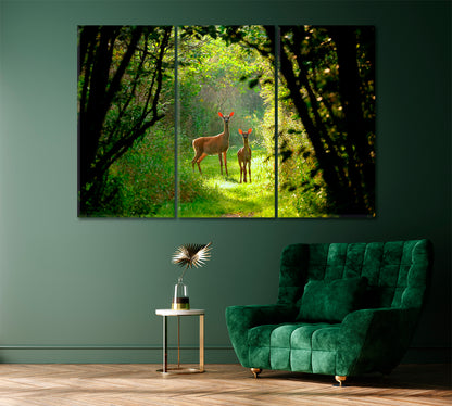 White Tailed Deer with a Fawn in the Forest Canvas Print-Canvas Print-CetArt-1 Panel-24x16 inches-CetArt