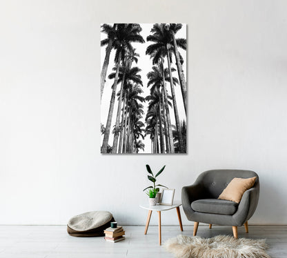 Palm Trees Avenue Rio de Janeiro Botanical Garden Canvas Print-Canvas Print-CetArt-1 panel-16x24 inches-CetArt