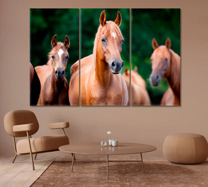 Herd of Arabian Horses Canvas Print-Canvas Print-CetArt-1 Panel-24x16 inches-CetArt