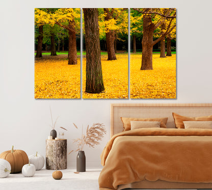 Yoyogi Park in Tokyo in Autumn Canvas Print-Canvas Print-CetArt-1 Panel-24x16 inches-CetArt