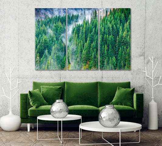 Pine Woods Covered by Fog Canvas Print-Canvas Print-CetArt-1 Panel-24x16 inches-CetArt