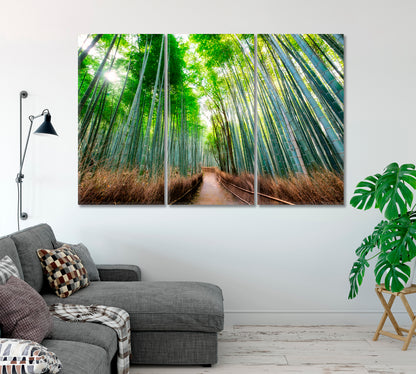 Walkway in Bamboo Forest Kyoto Japan Canvas Print-Canvas Print-CetArt-1 Panel-24x16 inches-CetArt