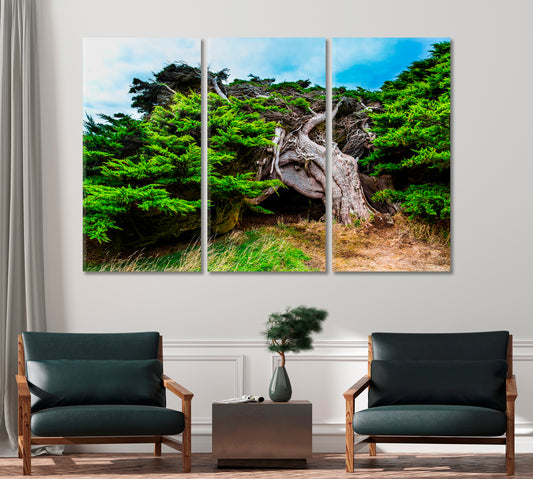 New Zealand Horizontal Forest Canvas Print-Canvas Print-CetArt-1 Panel-24x16 inches-CetArt