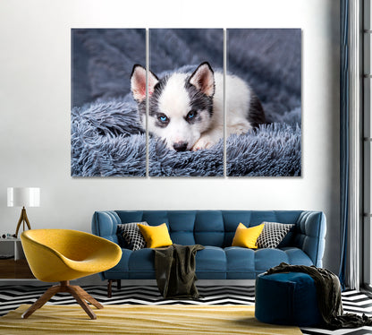 Cute Husky Puppy Canvas Print-Canvas Print-CetArt-1 Panel-24x16 inches-CetArt