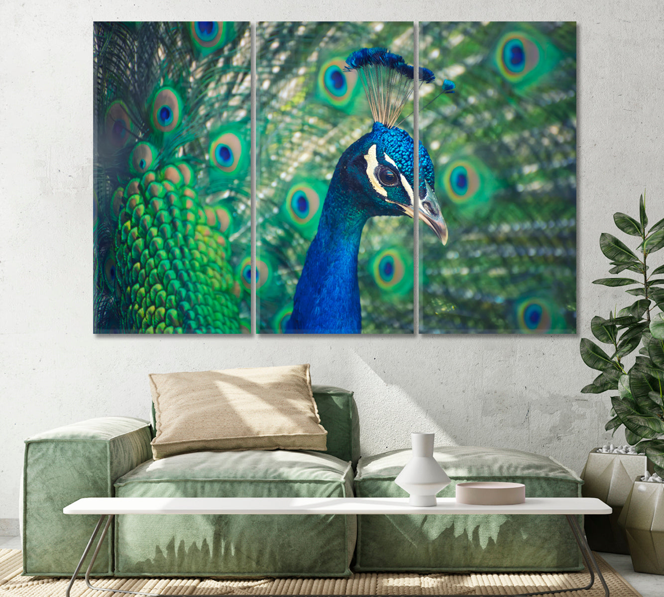 Peacock Canvas Print-Canvas Print-CetArt-1 Panel-24x16 inches-CetArt