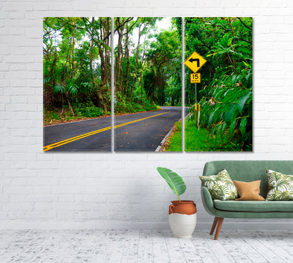 Road to Hana Through Tropical Rainforest Maui Hawaii Canvas Print-Canvas Print-CetArt-1 Panel-24x16 inches-CetArt