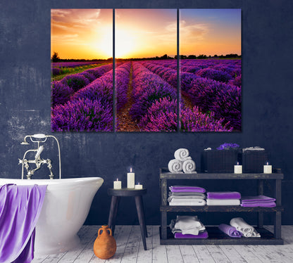 Lavender Field at Sunset Provence France Canvas Print-Canvas Print-CetArt-1 Panel-24x16 inches-CetArt