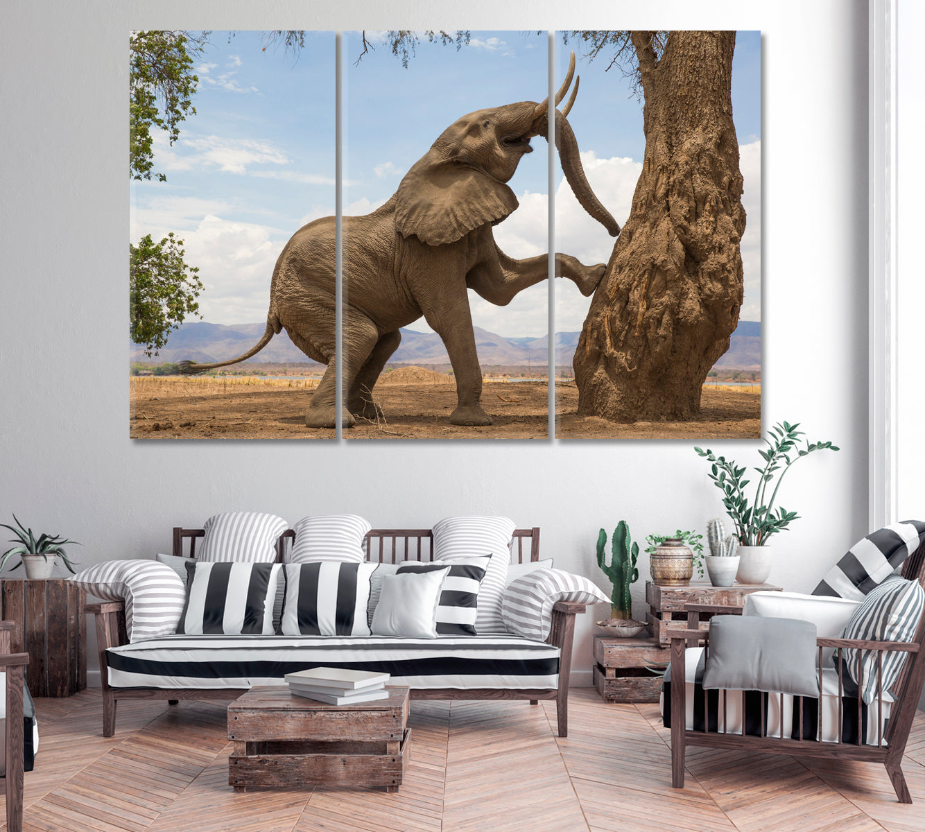 Powerful African Elephant Canvas Print-Canvas Print-CetArt-1 Panel-24x16 inches-CetArt