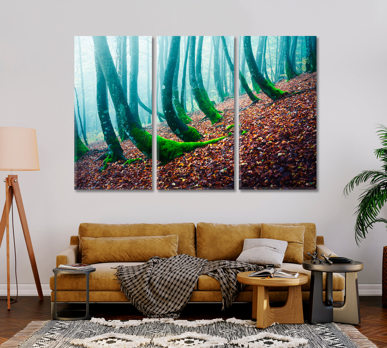 Mysterious Forest with Beech with Moss Canvas Print-Canvas Print-CetArt-1 Panel-24x16 inches-CetArt