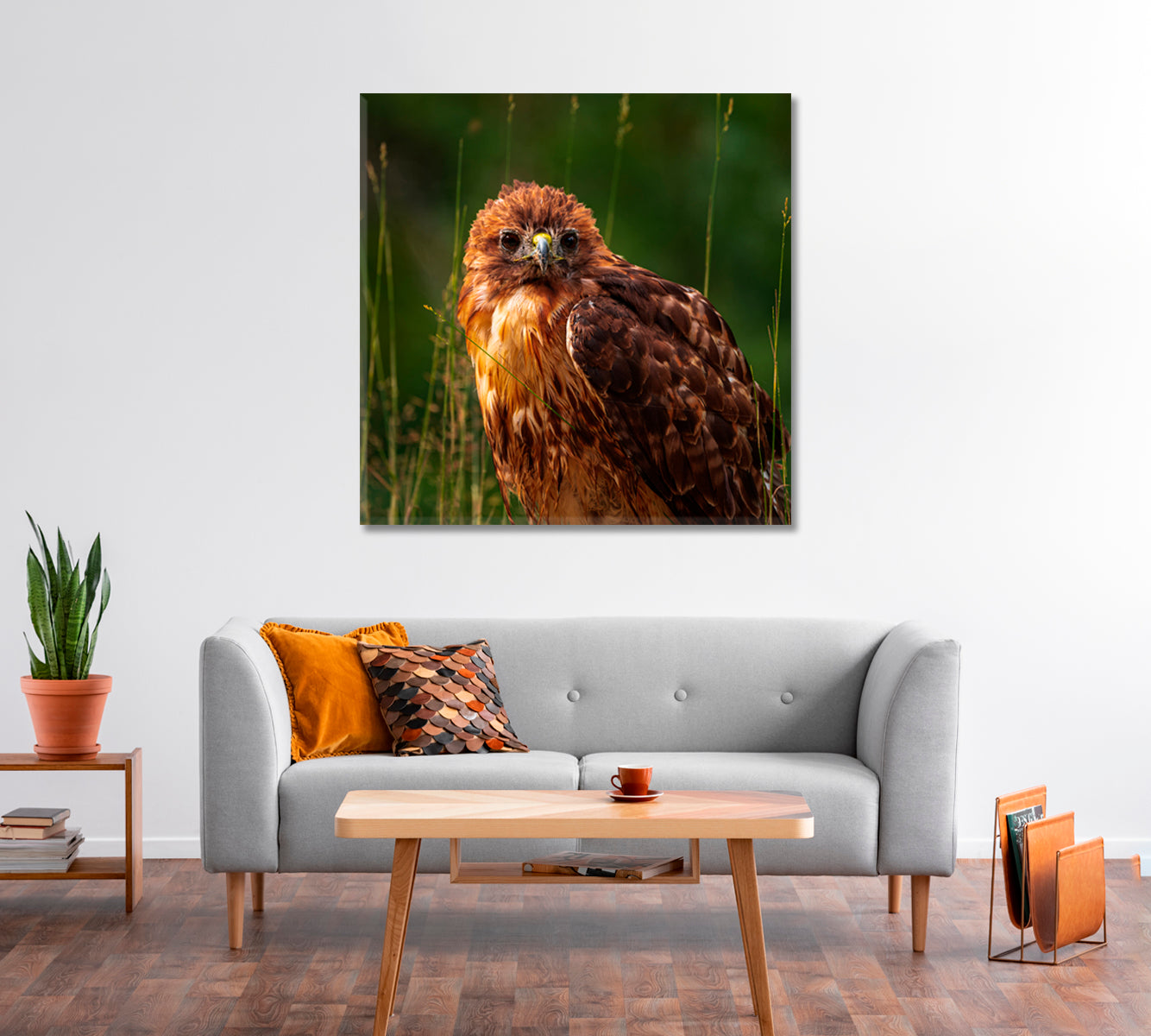 Red-tailed Hawk Canvas Print-Canvas Print-CetArt-1 panel-12x12 inches-CetArt