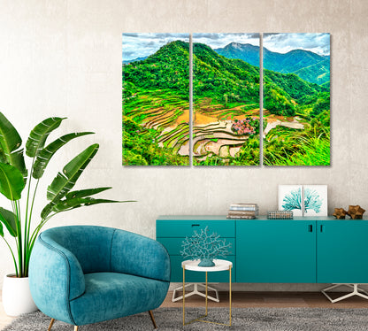 Bangaan Rice Terraces Philippines Canvas Print-Canvas Print-CetArt-1 Panel-24x16 inches-CetArt