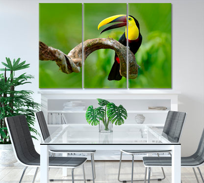 Toucan Bird Sitting on Branch Canvas Print-Canvas Print-CetArt-1 Panel-24x16 inches-CetArt