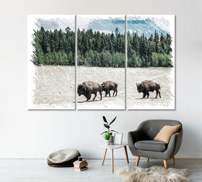 Herd of American Bison Grand Canyon National Park Arizona USA Canvas Print-Canvas Print-CetArt-1 Panel-24x16 inches-CetArt