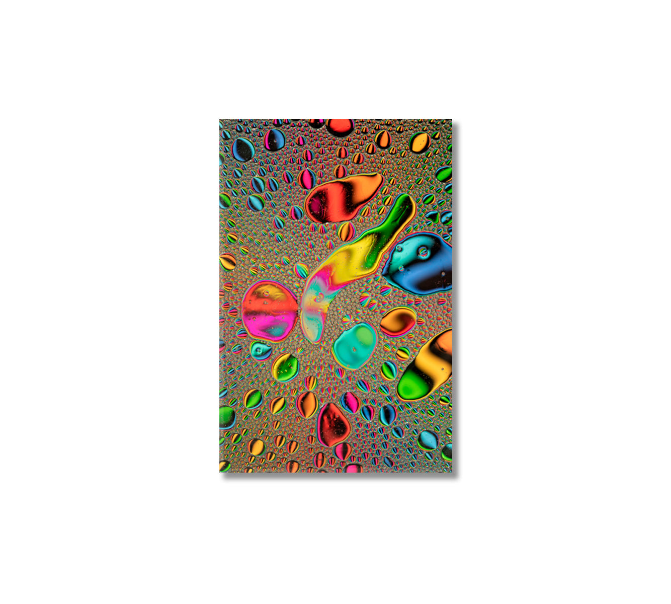 Abstract Rainbow Oil Bubbles Canvas Print-Canvas Print-CetArt-1 panel-16x24 inches-CetArt