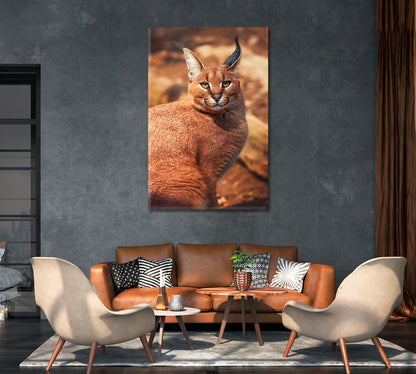 Caracal Portrait Canvas Print-Canvas Print-CetArt-1 panel-16x24 inches-CetArt