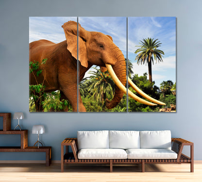 African Elephant Canvas Print-Canvas Print-CetArt-1 Panel-24x16 inches-CetArt