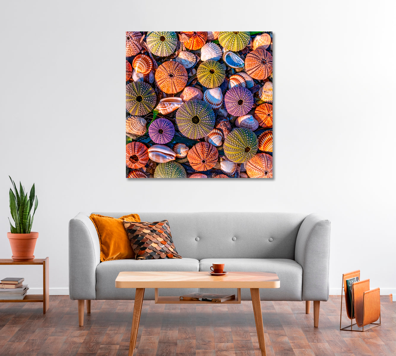 Sea Urchins Canvas Print-Canvas Print-CetArt-1 panel-12x12 inches-CetArt