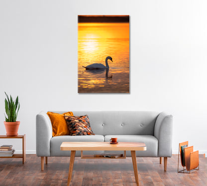 Swan on Calm Lake at Golden Sunrise Canvas Print-Canvas Print-CetArt-1 panel-16x24 inches-CetArt