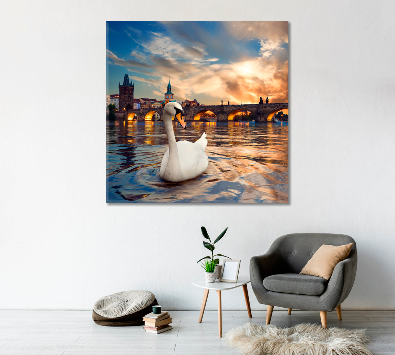 Swan in Vltava River in Prague Canvas Print-Canvas Print-CetArt-1 panel-12x12 inches-CetArt