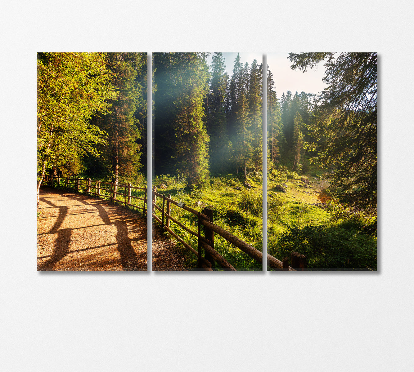 Picturesque Forest in Sunlight Canvas Print-Canvas Print-CetArt-3 Panels-36x24 inches-CetArt