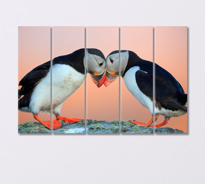 Pair of Atlantic Puffins Canvas Print-Canvas Print-CetArt-5 Panels-36x24 inches-CetArt