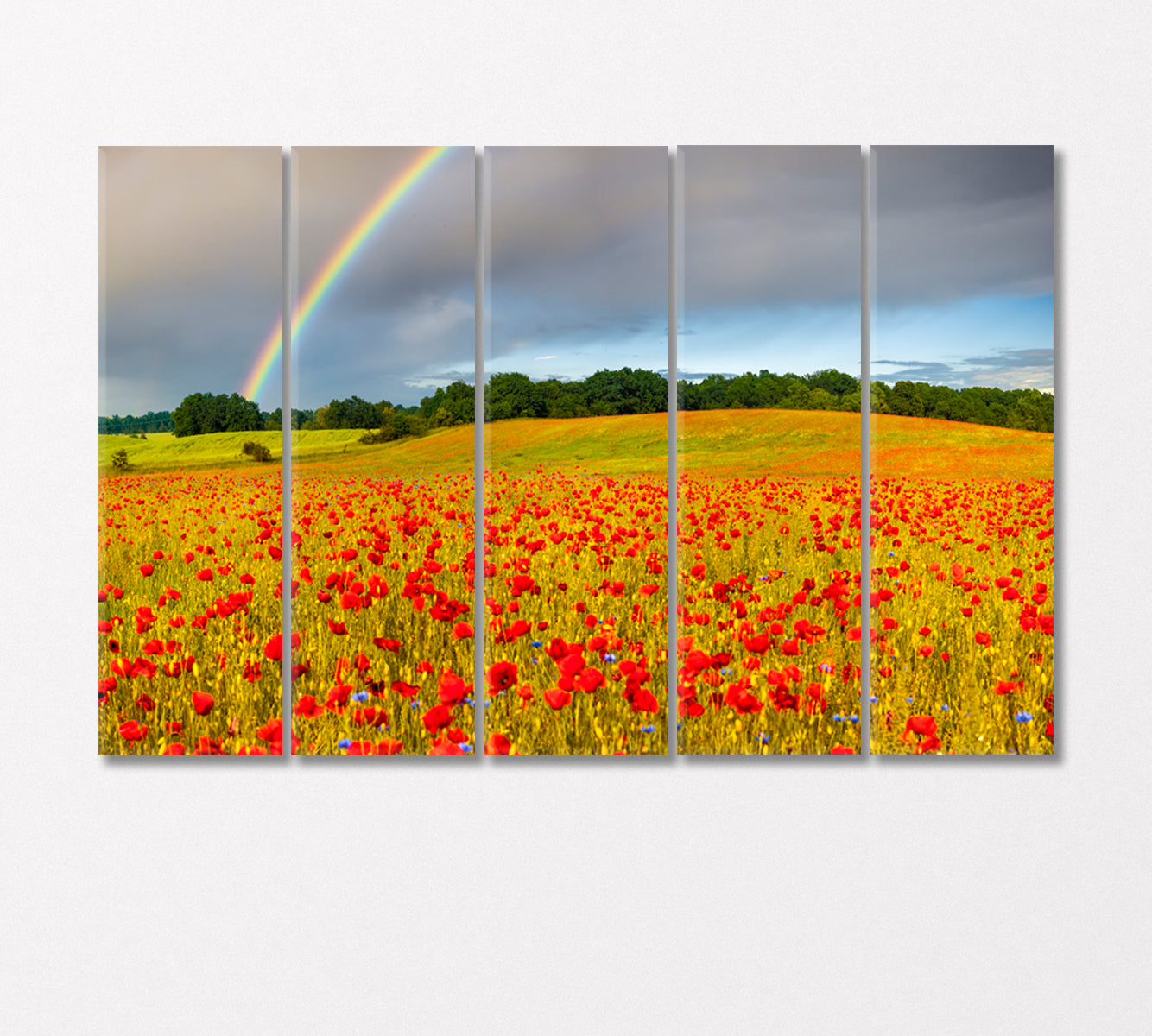 Rainbow over Poppy Field Canvas Print-Canvas Print-CetArt-5 Panels-36x24 inches-CetArt