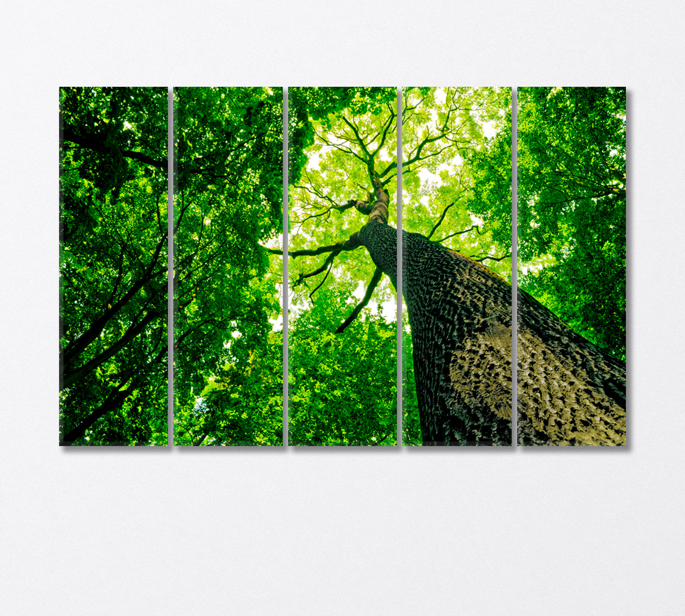 Forest Trees Canvas Print-Canvas Print-CetArt-5 Panels-36x24 inches-CetArt