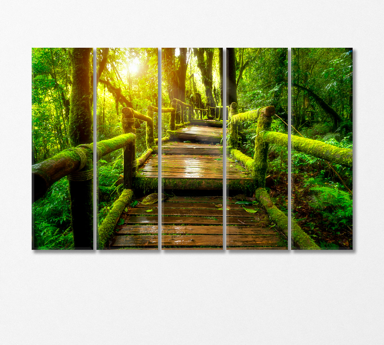 Old Wooden Bridge in Doi Inthanon National Park Thailand Canvas Print-Canvas Print-CetArt-5 Panels-36x24 inches-CetArt