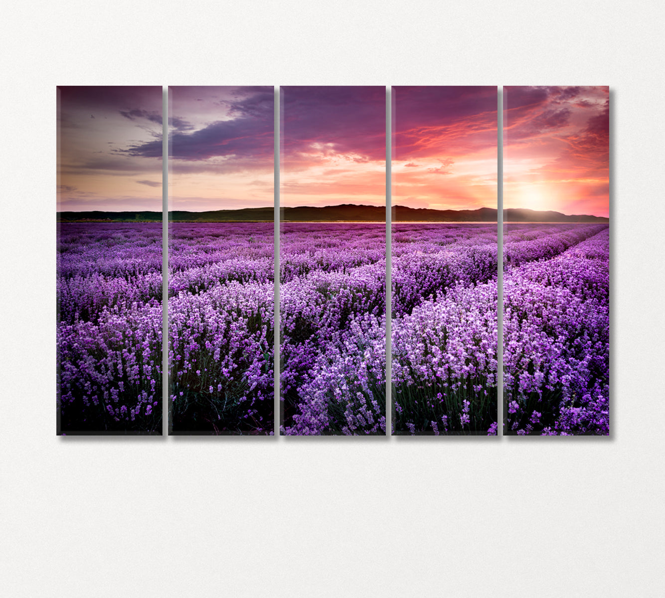 Lavender Field under the Summer Sunset Canvas Print-Canvas Print-CetArt-5 Panels-36x24 inches-CetArt