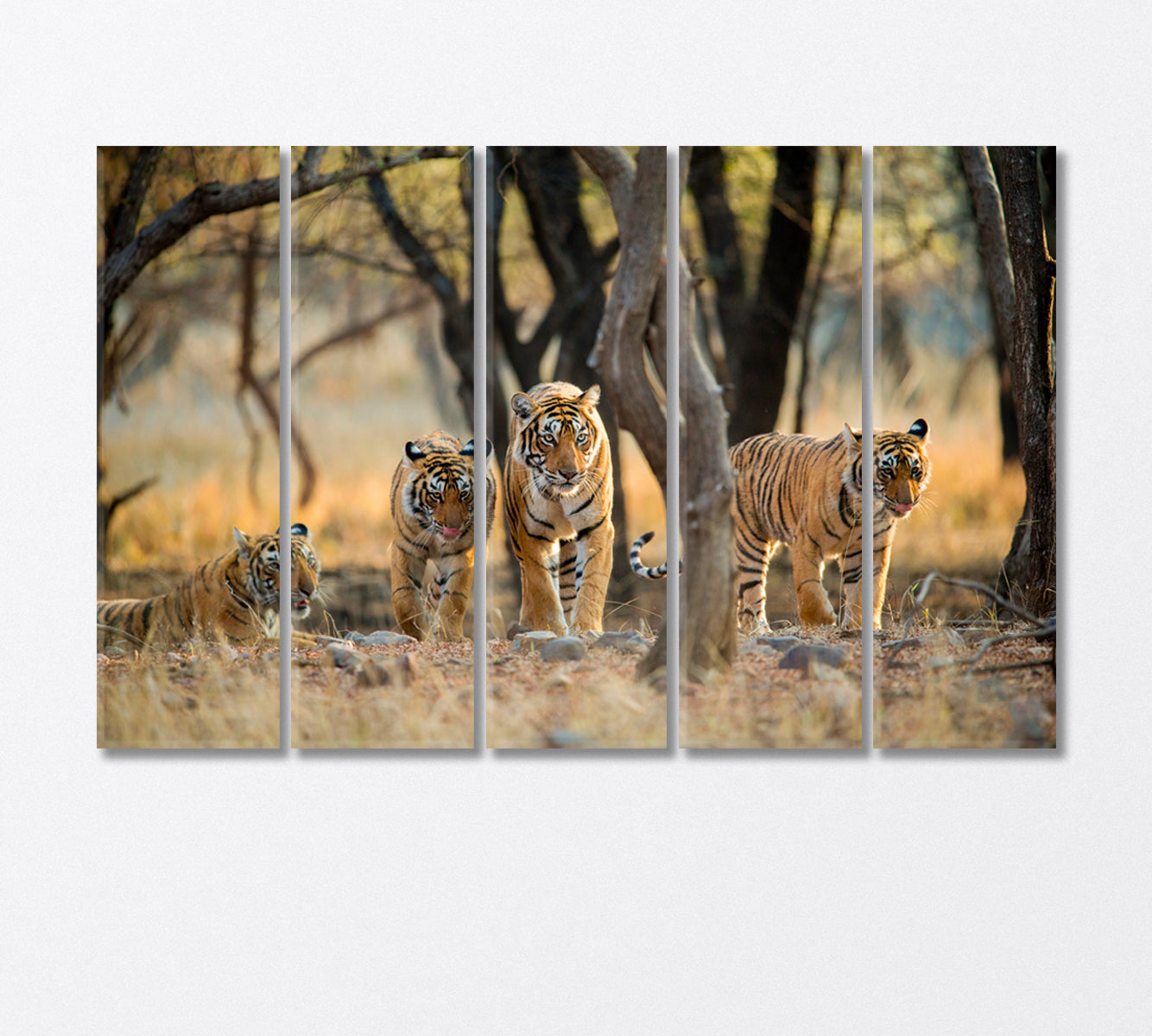 Tiger Family at Ranthambore National Park India Canvas Print-Canvas Print-CetArt-5 Panels-36x24 inches-CetArt